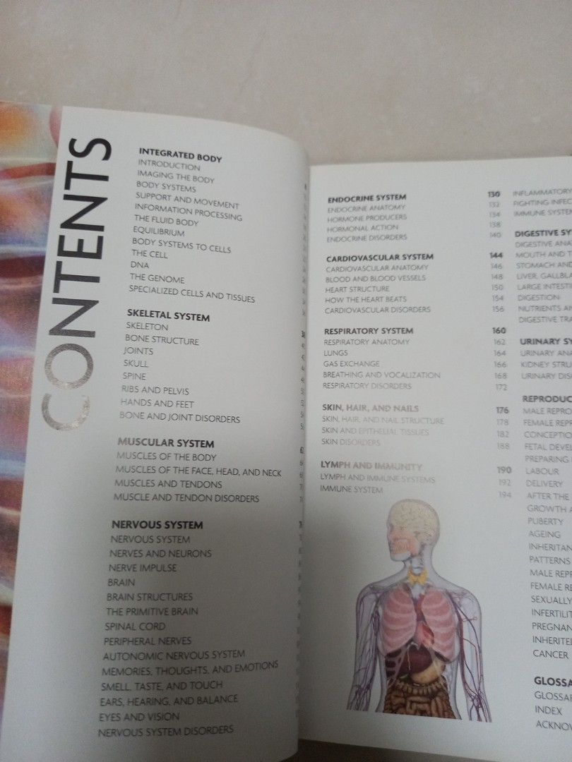 The concise human body book, Hobbies & Toys, Books & Magazines ...