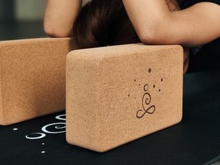 Gaiam Yoga Block - Supportive Latex-Free EVA Foam Soft Non-Slip Surface for  Yoga, Pilates, Meditation (Blue Shadow Point)