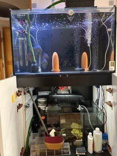 （分類：）位於 。 由 sk166898 提交（商品編號 1236004530，圖片 1）。簡介： 。