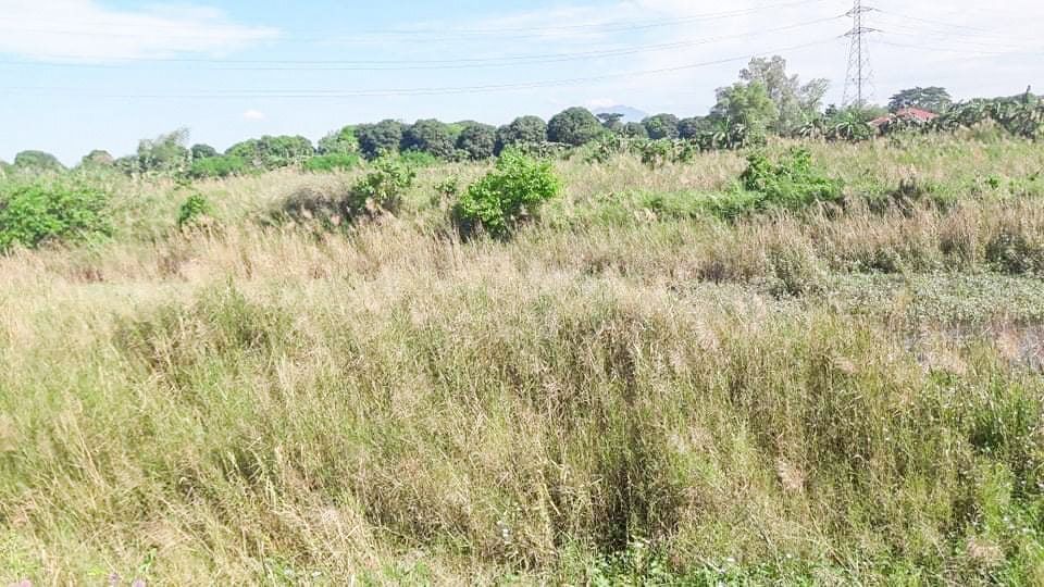 5.6 hectare Agricultural Land near commercial highway in Guagua