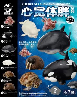 （分類：）位於 。 由 meteorexpress 提交（商品編號 1235975878，圖片 1）。簡介： 。