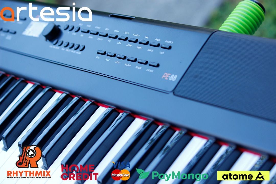 Artesia PE88 88 Key Digital Piano, Hobbies & Toys, Music & Media