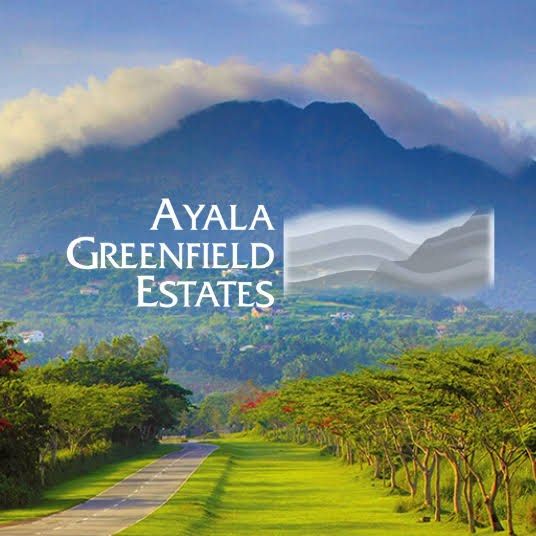 Ayala Greenfield Estates on Carousell