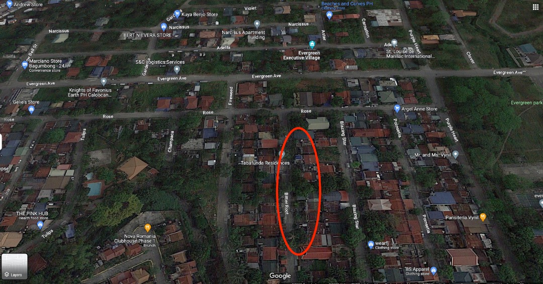 Bank foreclosed house in Evergreen Executive Villge, Brgy. 171