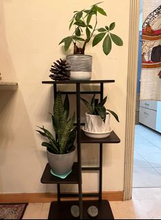 (Category: ) located in . Submitted by lolhello (Listing ID 1236028065, Image 1). Description: .