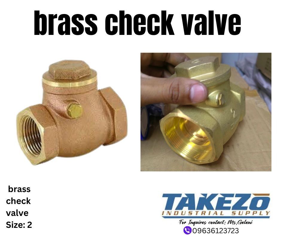 Brass Check Valve on Carousell