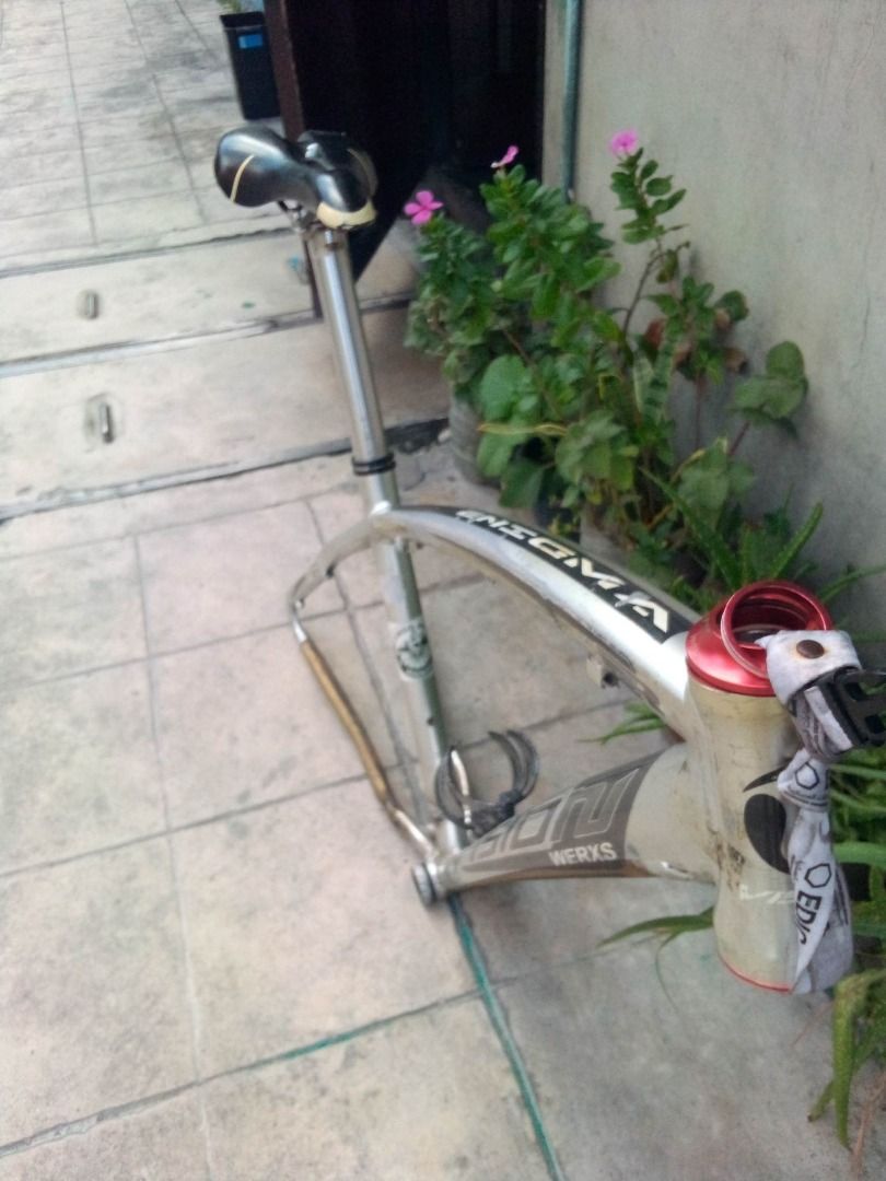 Vision shop enigma 29er