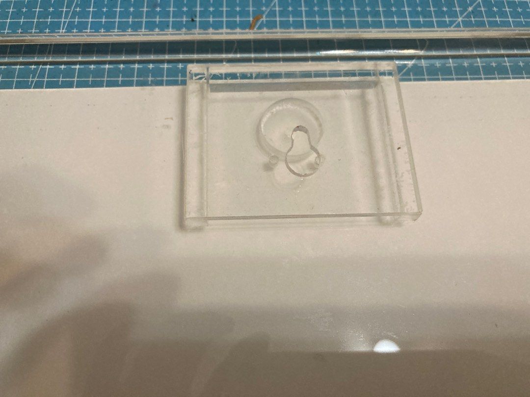 Kitten photo etching into acrylic excellent wall decor, Furniture