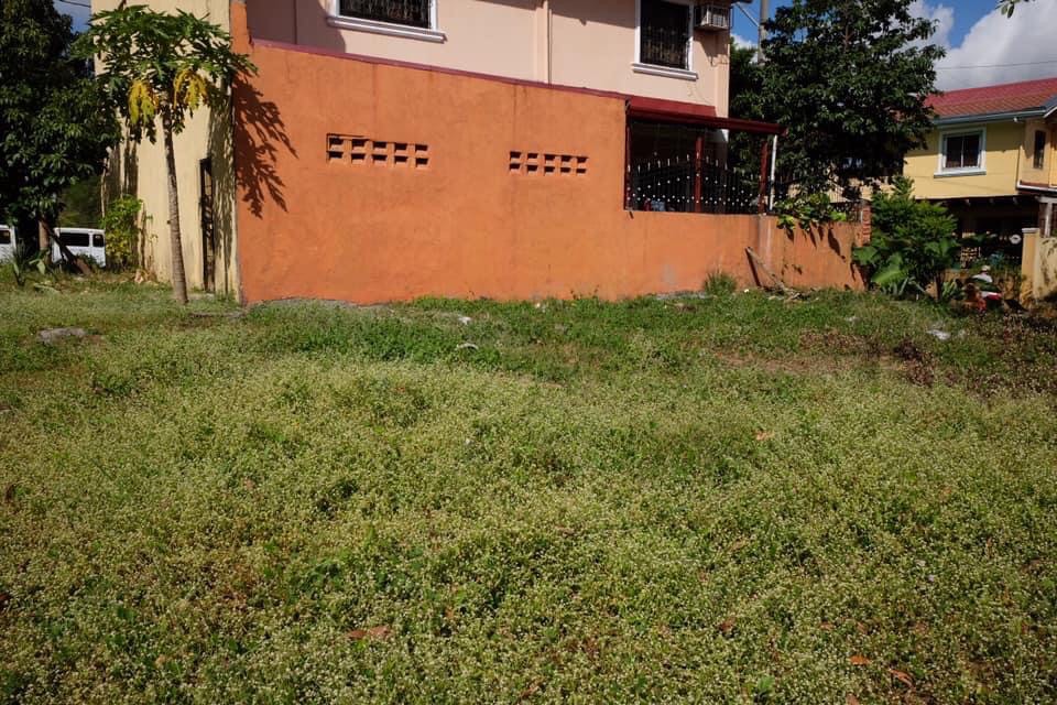 (Category: ) located in . Submitted by sfmbj (Listing ID 1236045966, Image 1). Description: .