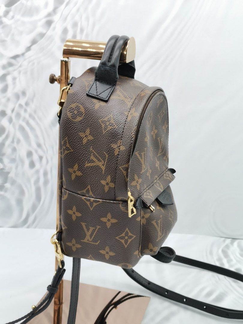Louis Vuitton Monogram Canvas Palm Springs Mini Backpack 