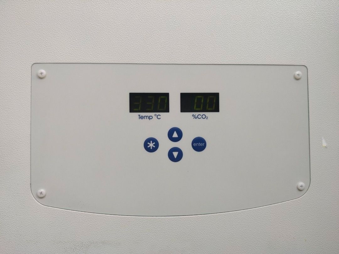 New Brunswick Galaxy 170S CO2 Incubator for sale 450 each, Health