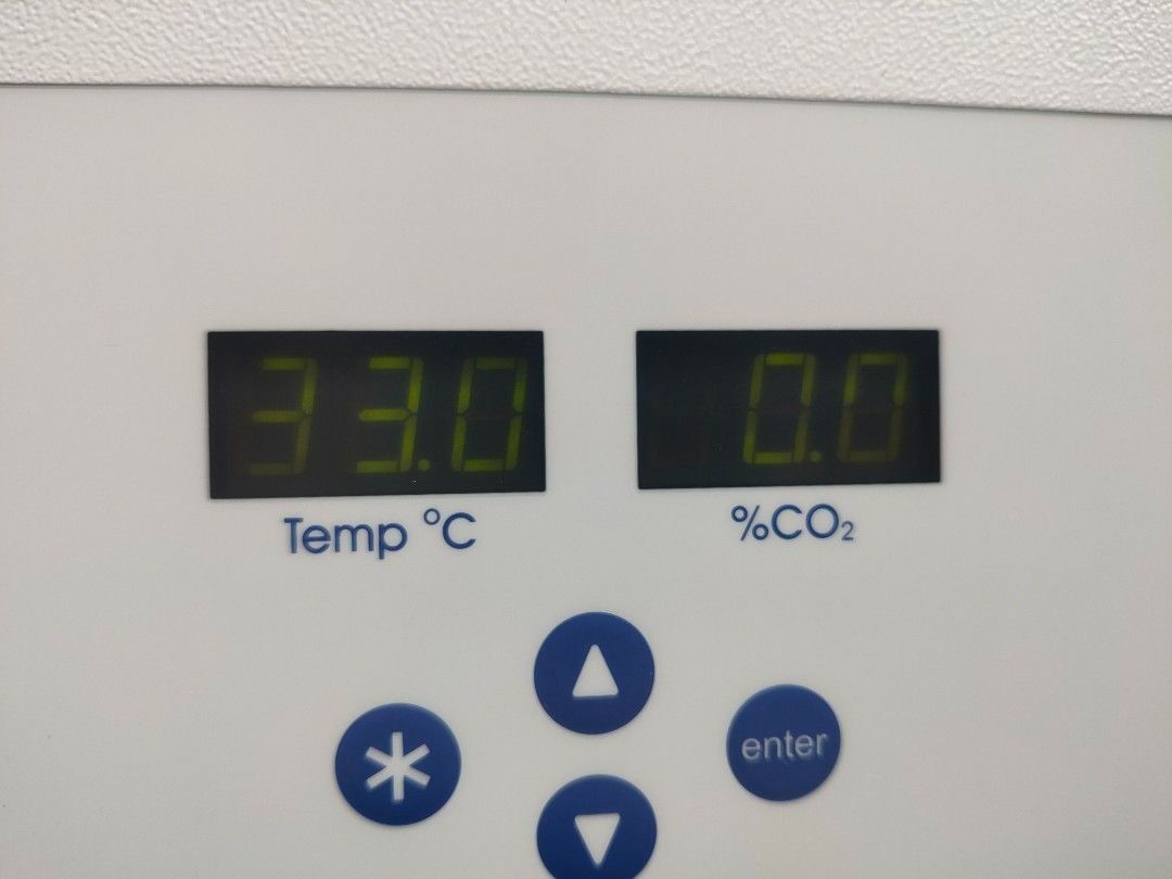 New Brunswick Galaxy 170S CO2 Incubator for sale 450 each, Health