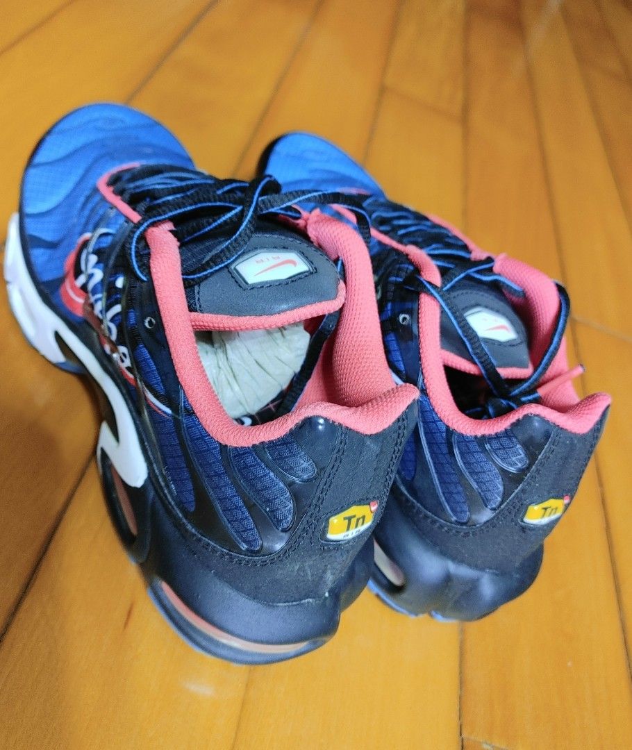 Nike Air Max Plus Special blue Carousell