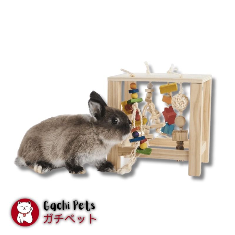 Oxbow Enriched Life Play Table for Rabbits, Guinea Pigs, Chinchillas
