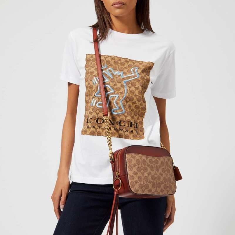 Coach camera best sale bag tan rust