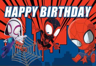Spider-Man theme  Collection item 2
