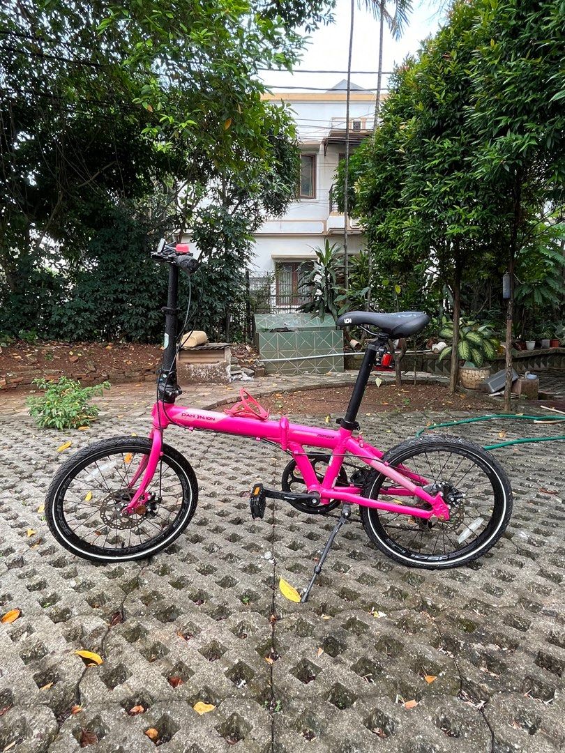 perbedaan dahon dan dahon ion