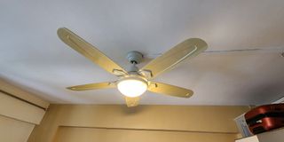 (Category: ) located in . Submitted by auntyshoppe (Listing ID 1235946247, Image 1). Description: .