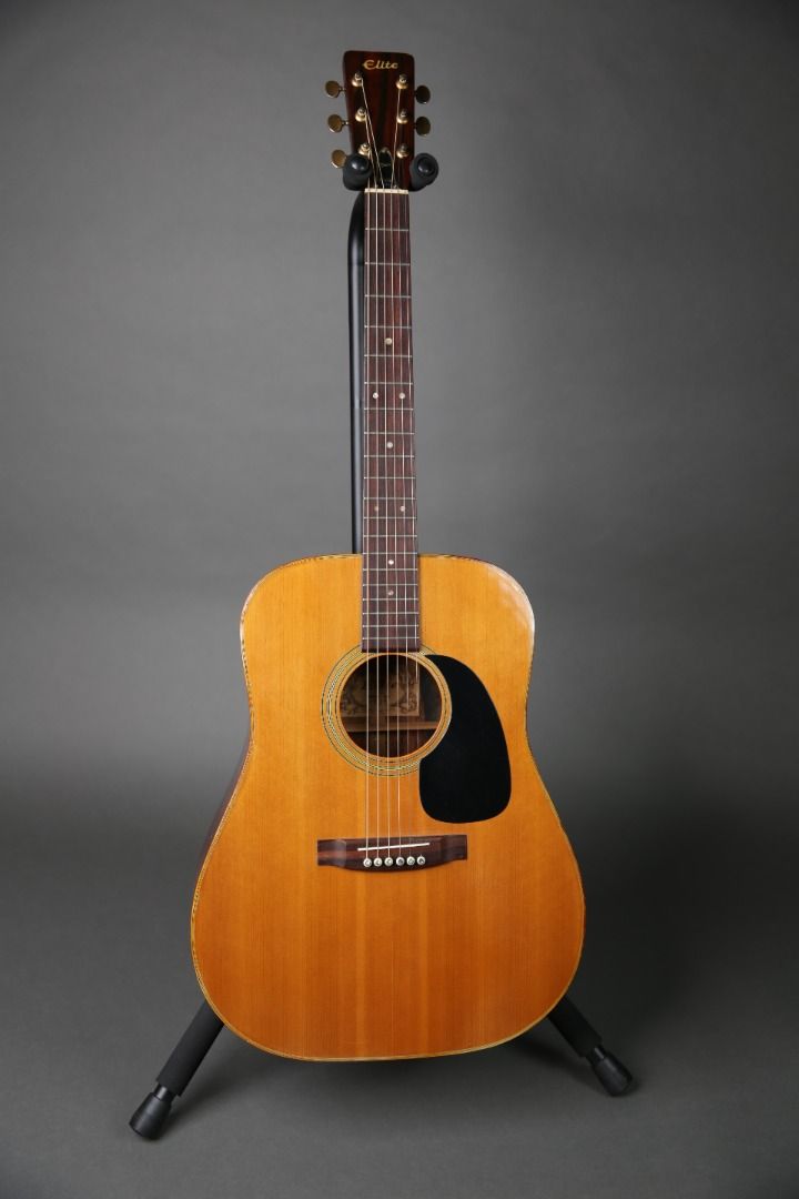 Takamine Elite TW-28 1972 Natural+Hard Case, 興趣及遊戲, 音樂