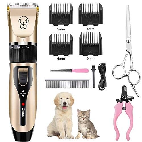 Best silent dog clippers hot sale