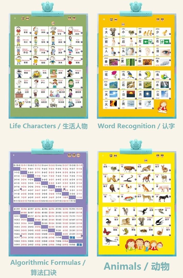 Wall Chart / Point Reading Audio Book (Early Exposure to Chinese ...