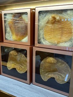 大量收購海味乾貨補品-高價收購金錢膠 陳年老花膠 赤嘴膠等高級乾貨海味