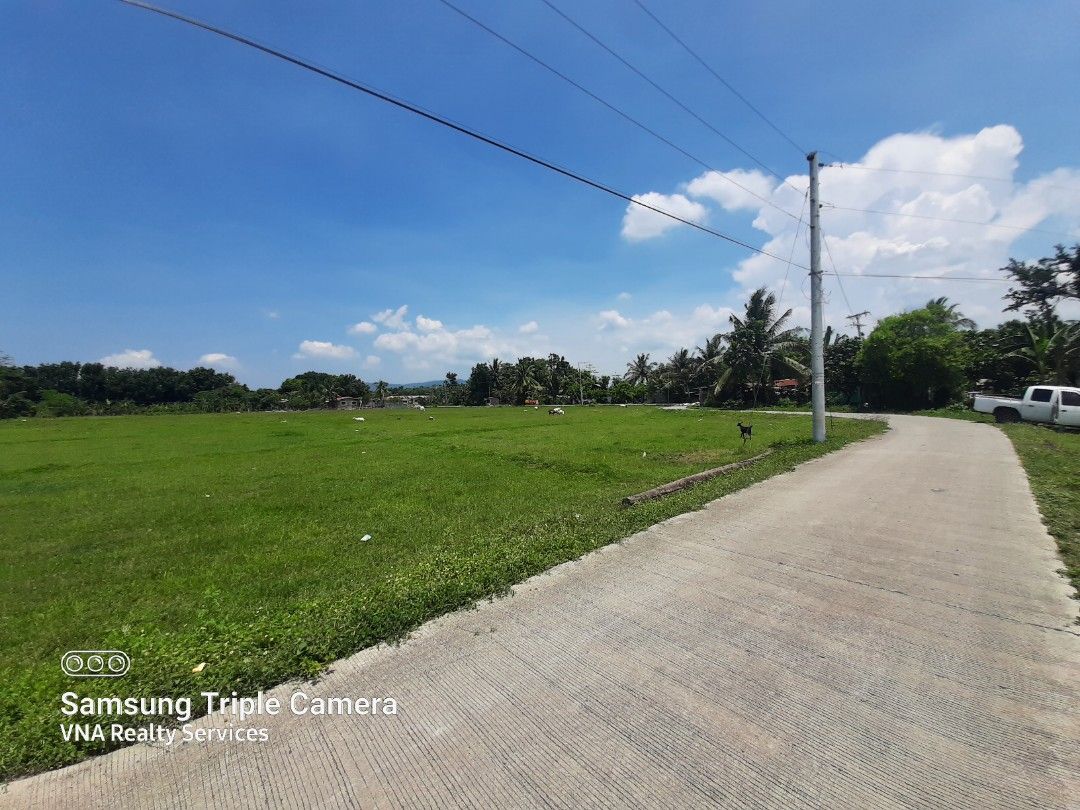 Farm Lots For Sale! Agricultural Land For Sale At Rosario, Batangas