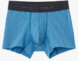 Body wild EZX日本製藍色暗紋L