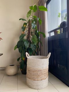 (Category: ) located in . Submitted by nhsnisha (Listing ID 1236079606, Image 1). Description: .