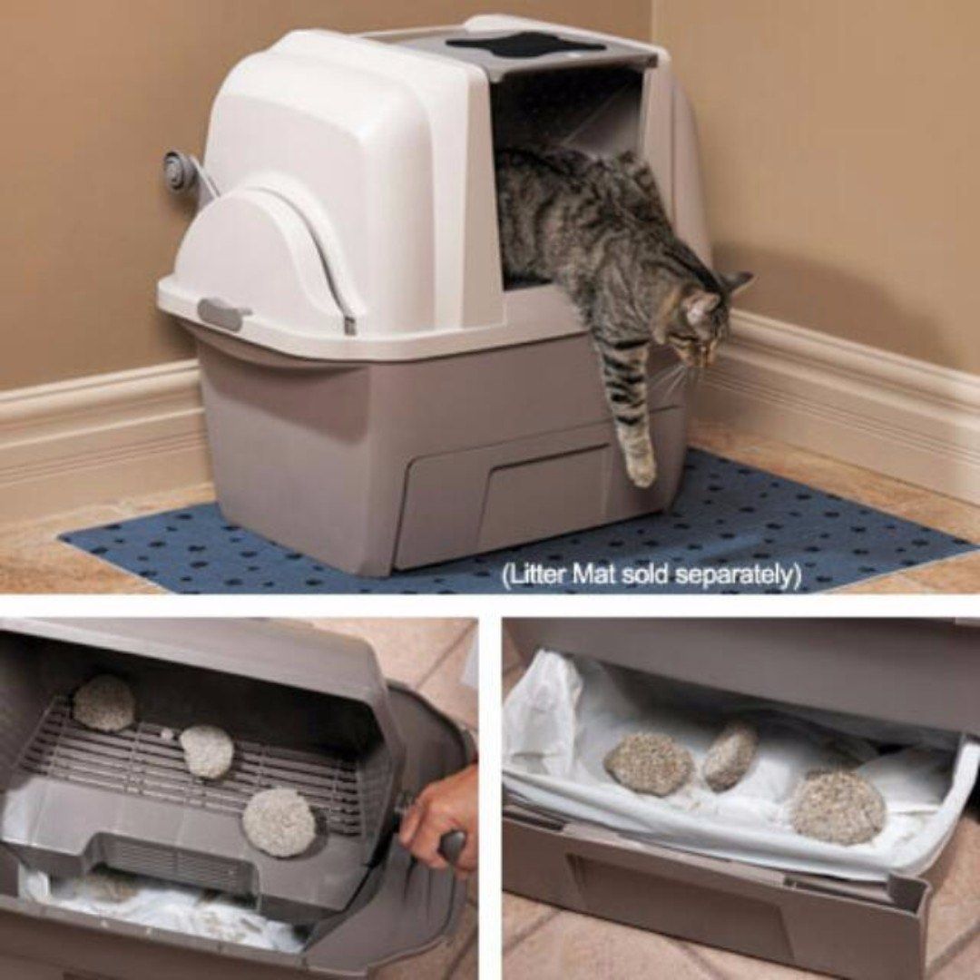 Smartsift litter box clearance