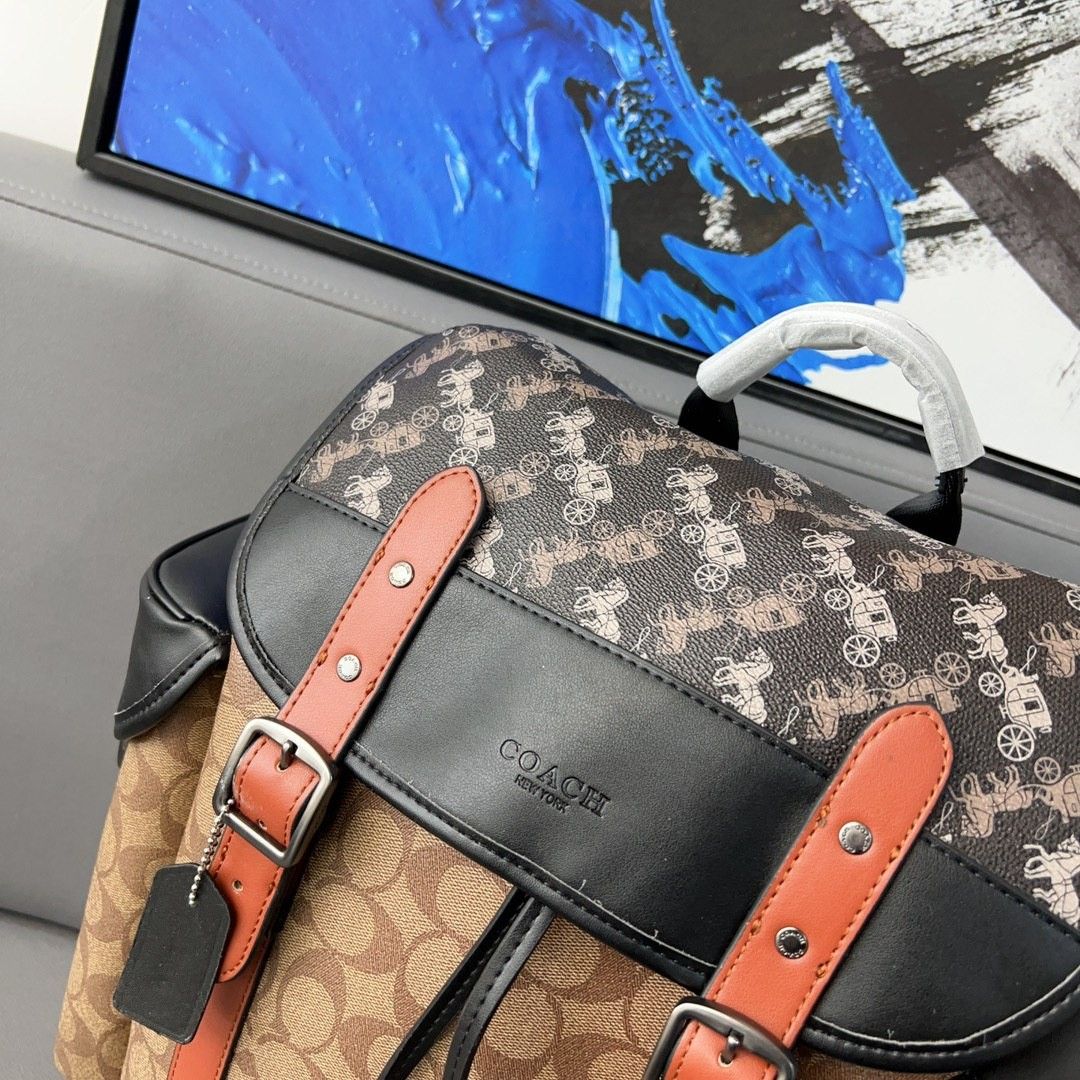 Coach top clear backpack