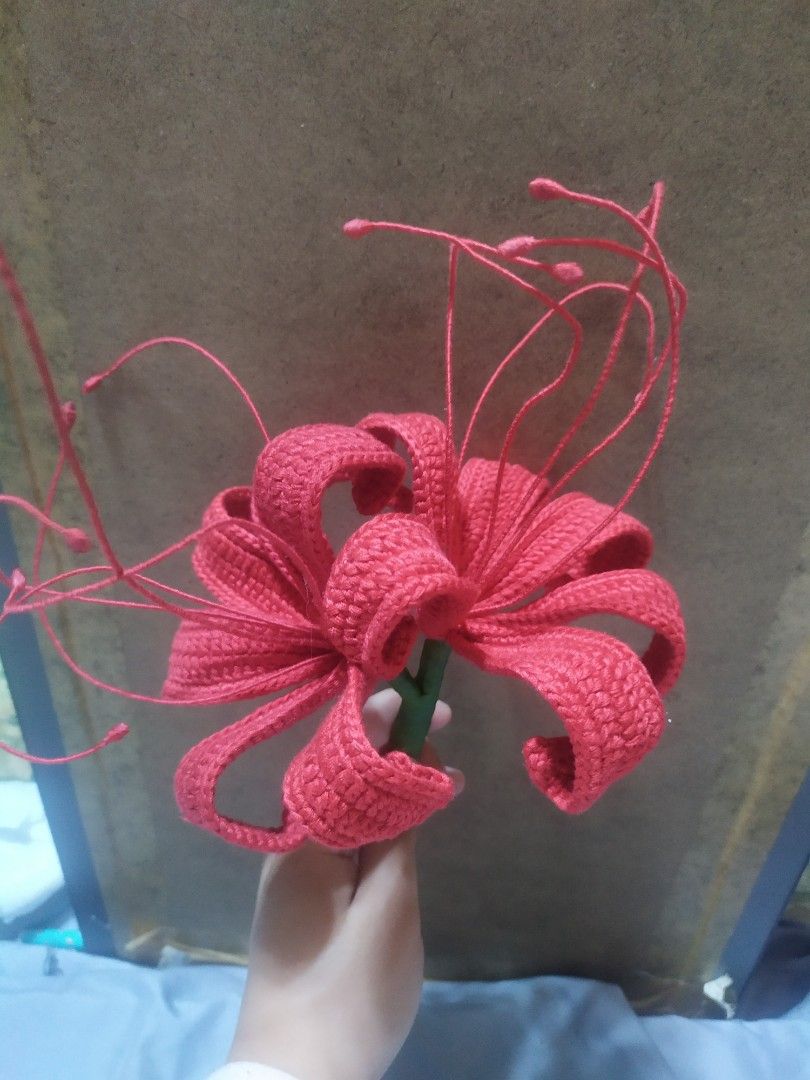 DONATE CROCHETED SPIDER LILY (Category: Handmade Craft) located in Baguio. Submitted by april.finds (Listing ID 1236155764, Image 1). Description: UP FOR DONATION It's a beautiful crochet flower , perfect pang gift sa anime geeks or just a friend na may gusto Ng flower na yun Bought from Shpee Retail: 625 Shipping: 75 Stem and petals are malleable (bendable) Baguio Based.
