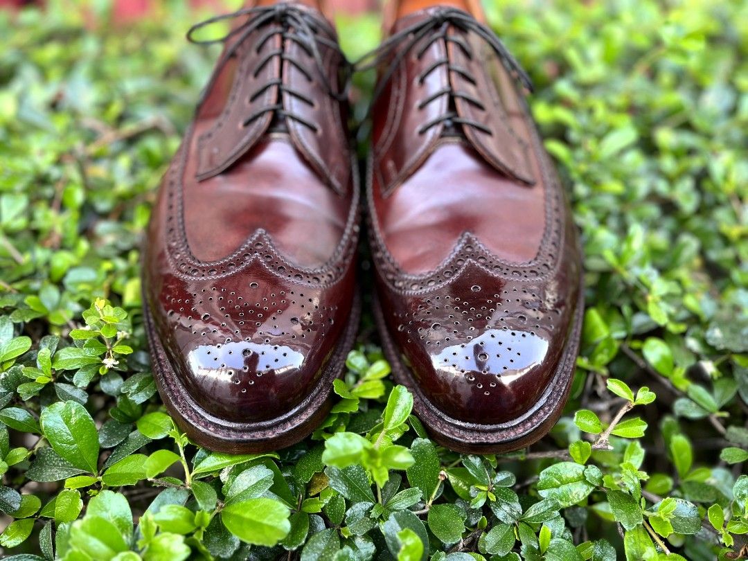 Crockett and Jones Shell Cordovan Longwing Blucher on Carousell
