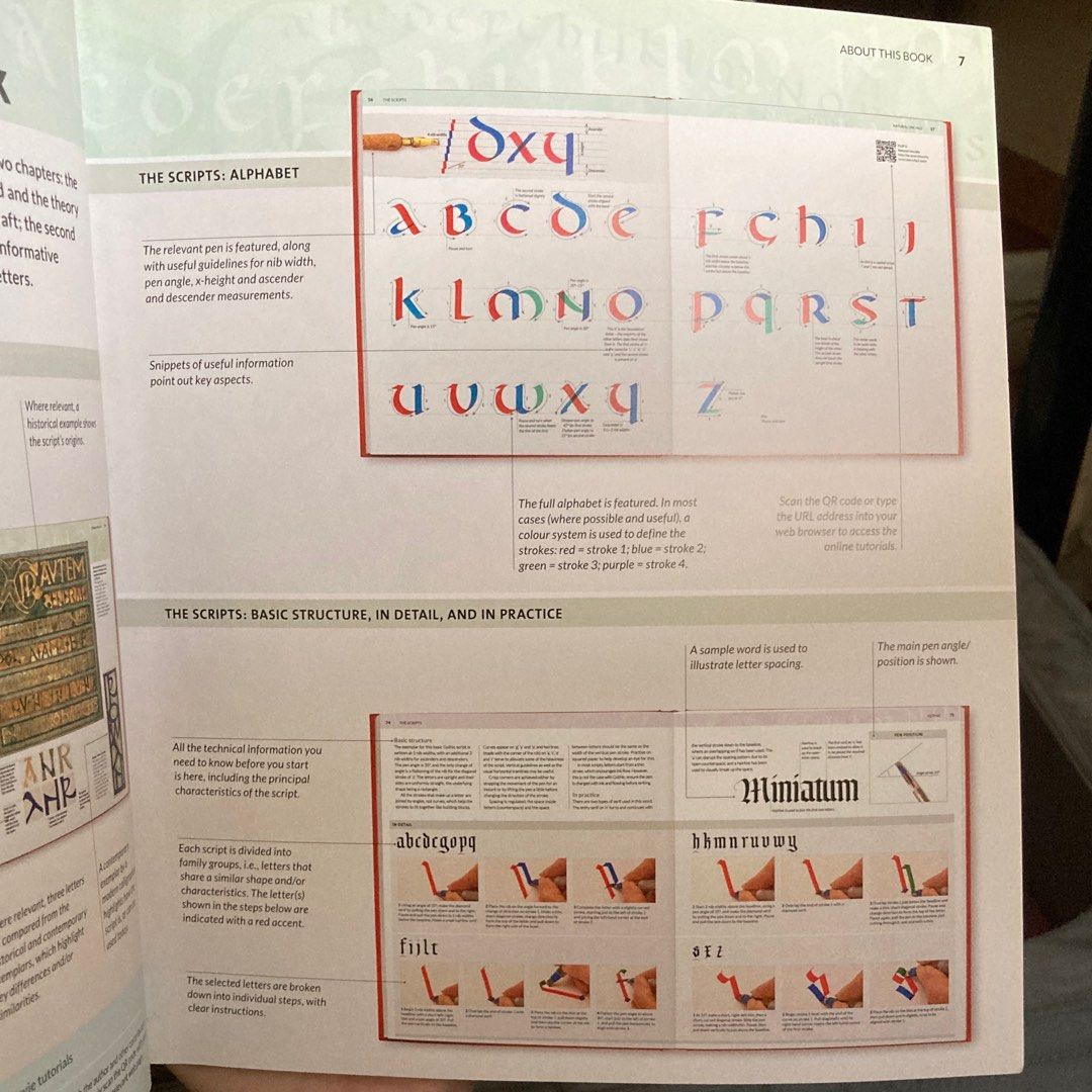 FREE complete calligraphy skills by vivien lunniss, Hobbies & Toys ...