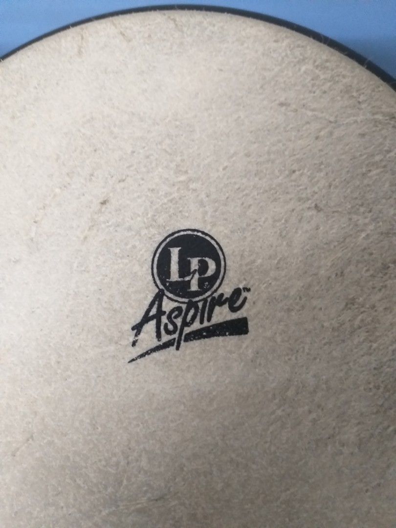 LP Aspire Bongo with stand, Hobbies & Toys, Music & Media, Musical