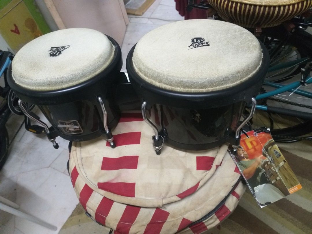 LP Aspire Bongo with stand, Hobbies & Toys, Music & Media, Musical