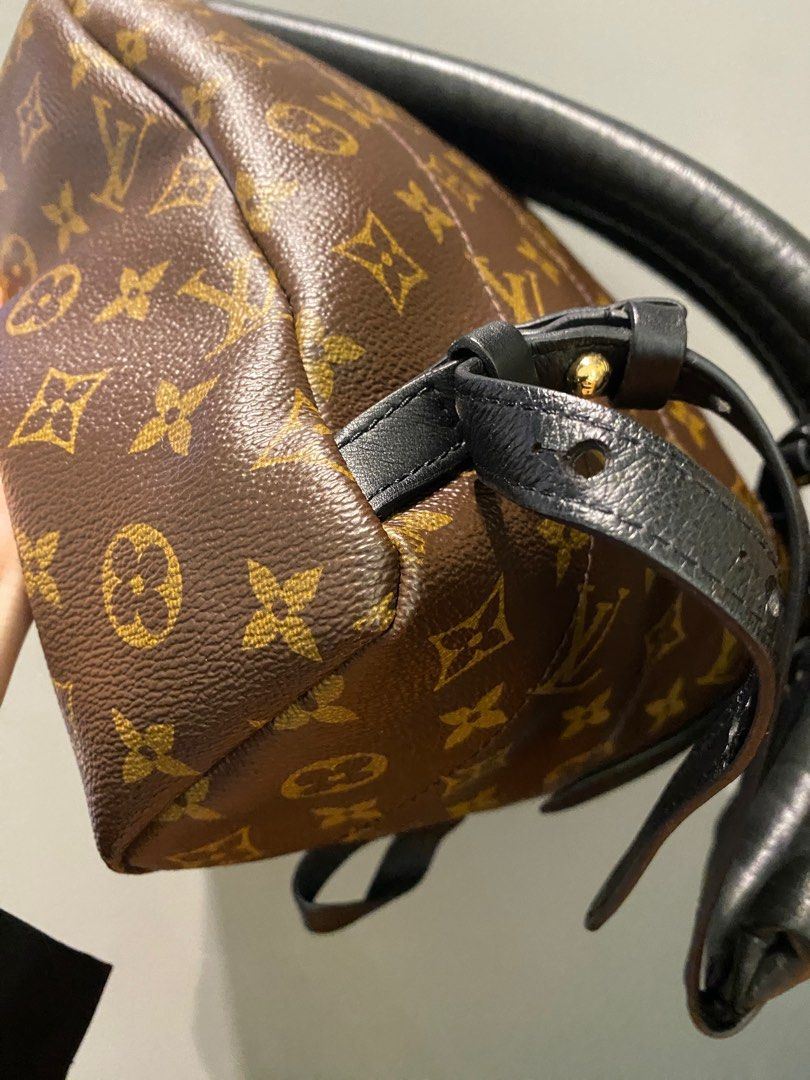 Louis Vuitton Palm Springs Mini Review + Wear & Tear