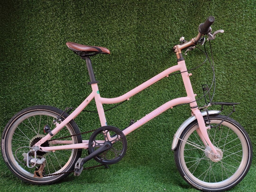 Momentum 2025 mini velo