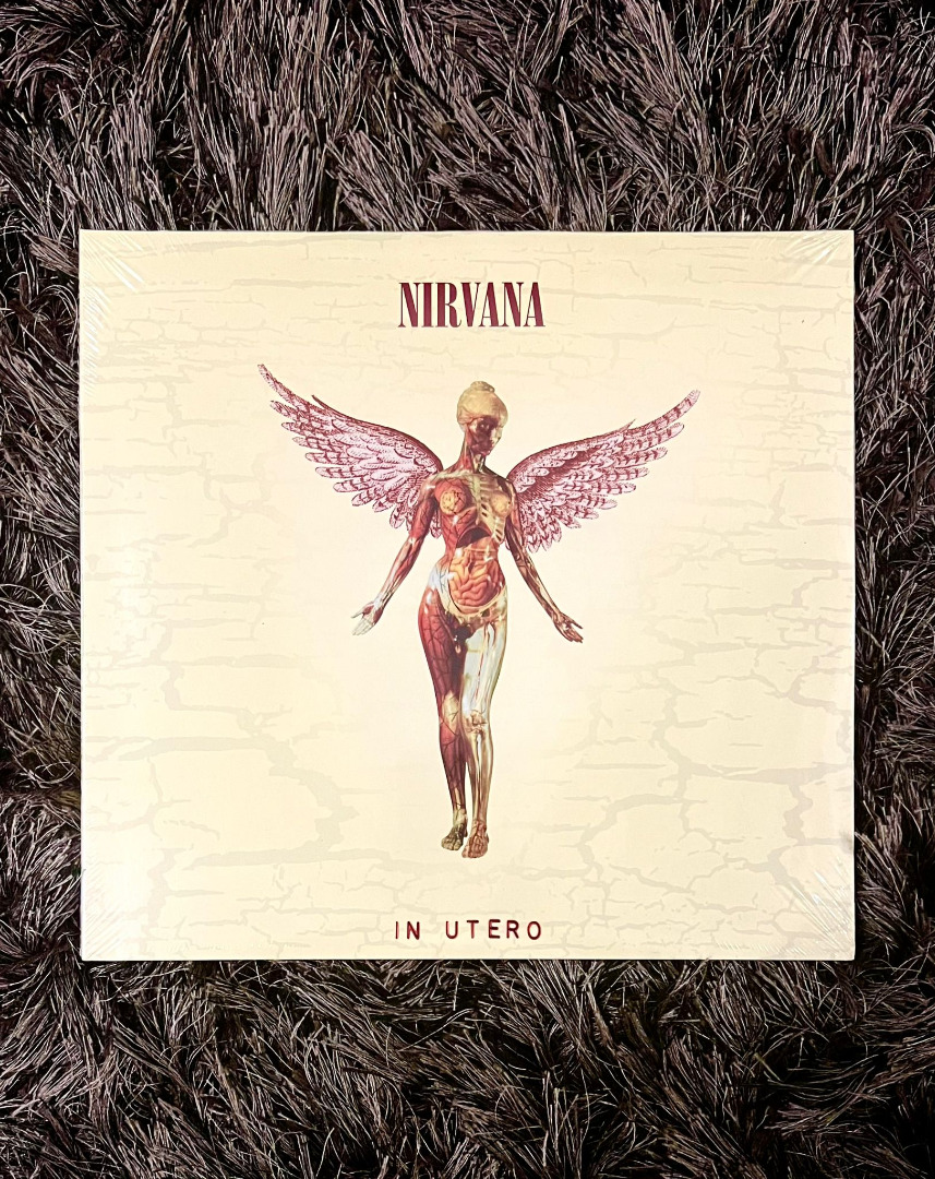 Nirvana - In Utero (45rpm 20th Anniversary Edition), Hobbies