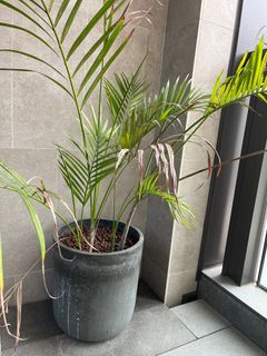 （分類：）位於 。 由 fcgalbraith 提交（商品編號 1236148199，圖片 1）。簡介： 。
