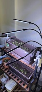 (Category: ) located in . Submitted by calilista (Listing ID 1236080141, Image 1). Description: .