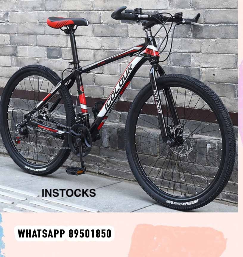 icolour mountain bike