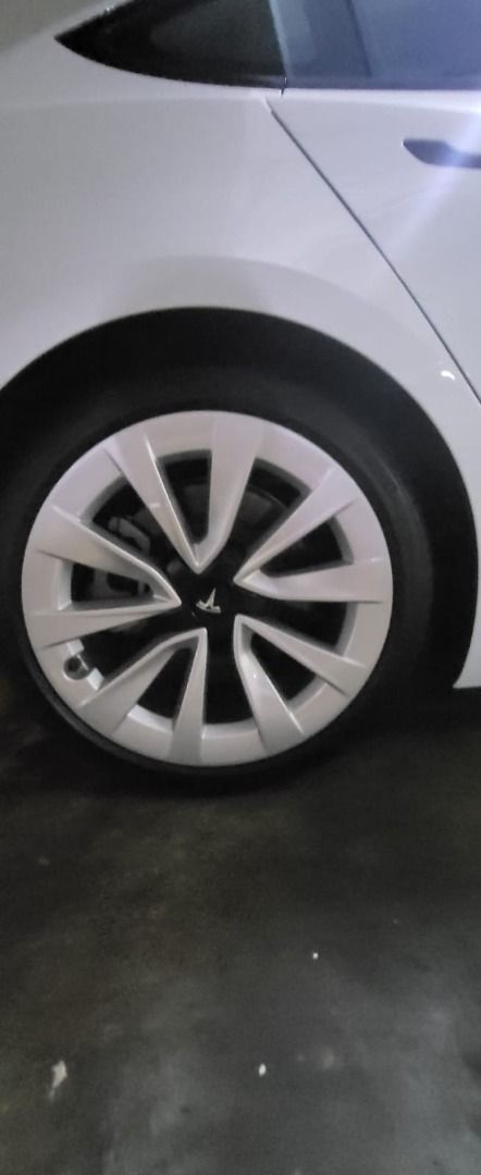 Tesla Model 3 19