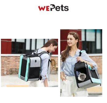 Pawdle pet carrier hot sale