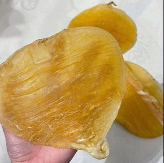 高價回收花膠 赤嘴 蜘蛛膠 陳年花膠 老花膠 金錢鳘 鳘肚 燕窩 幹鮑魚等海味補品