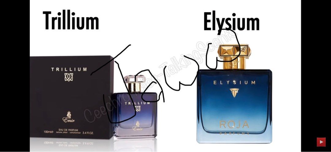 Decant Roja Dove Fragrance Clones Dupes