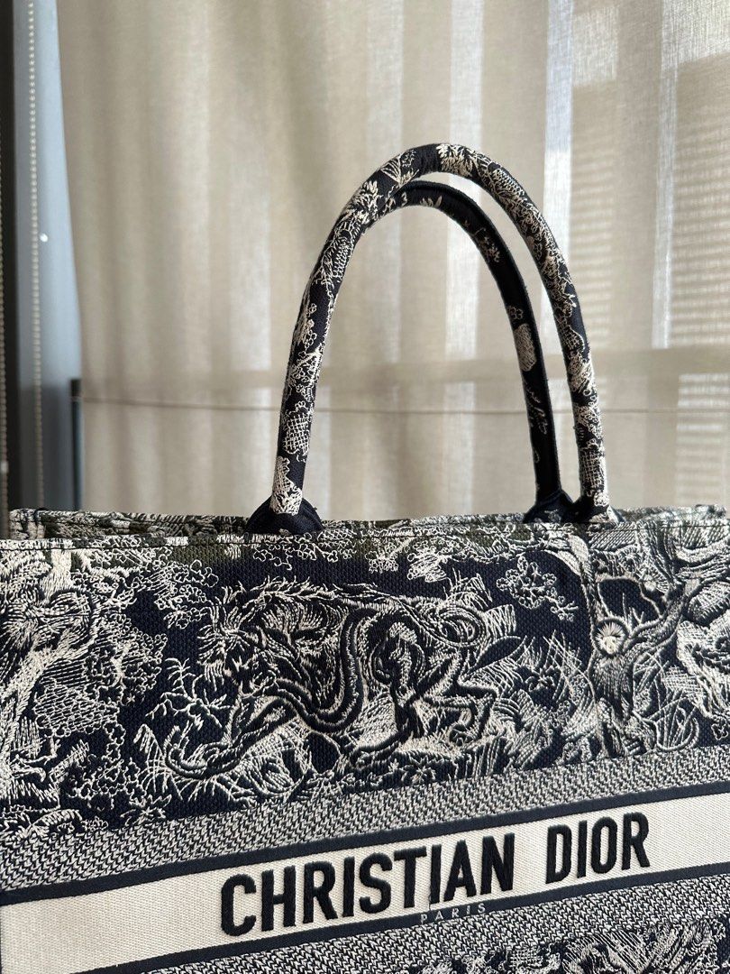 Christian Dior Book Tote small Luxury Bags  Wallets on Carousell