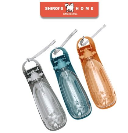 Glass water dispenser for store dogs