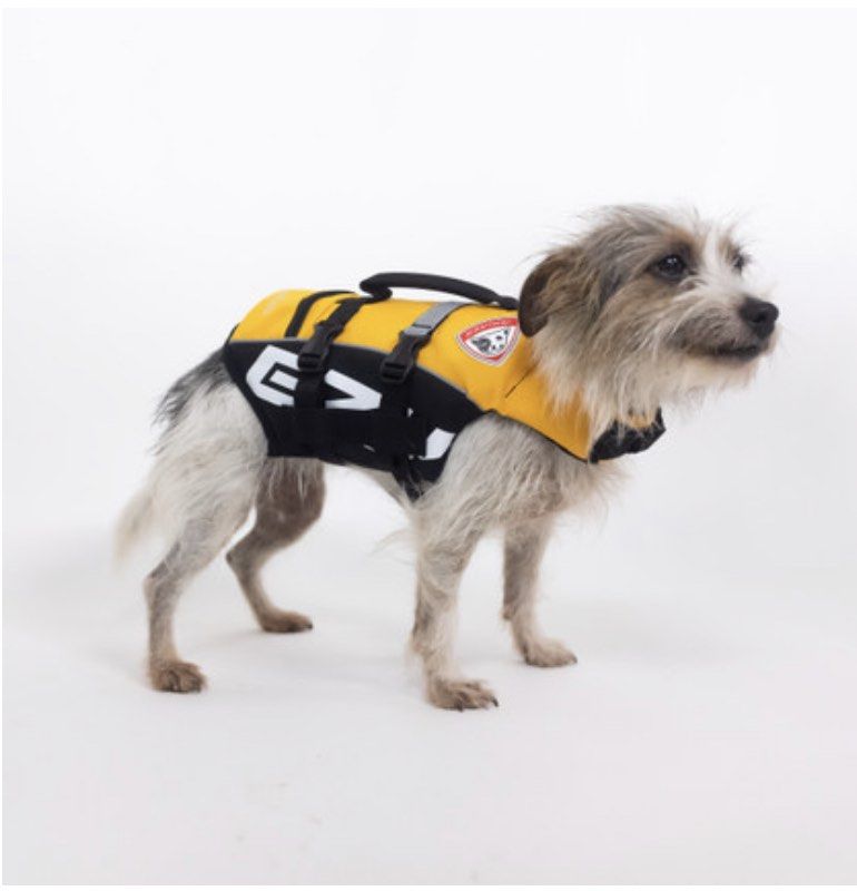 Ezydog Life Jacket XS Pet Supplies Homes Other Pet Accessories