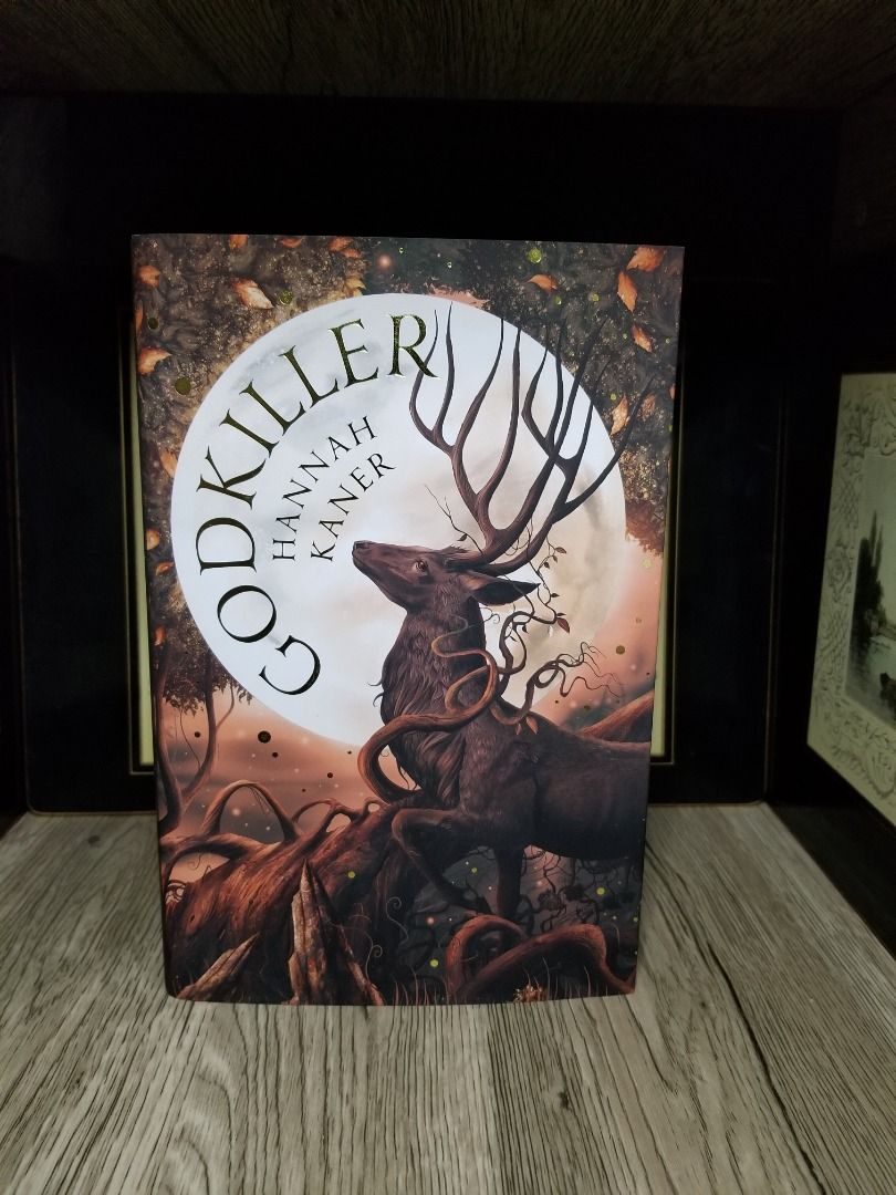 Godkiller by Hannah Kaner, Hobbies & Toys, Books & Magazines, Fiction ...